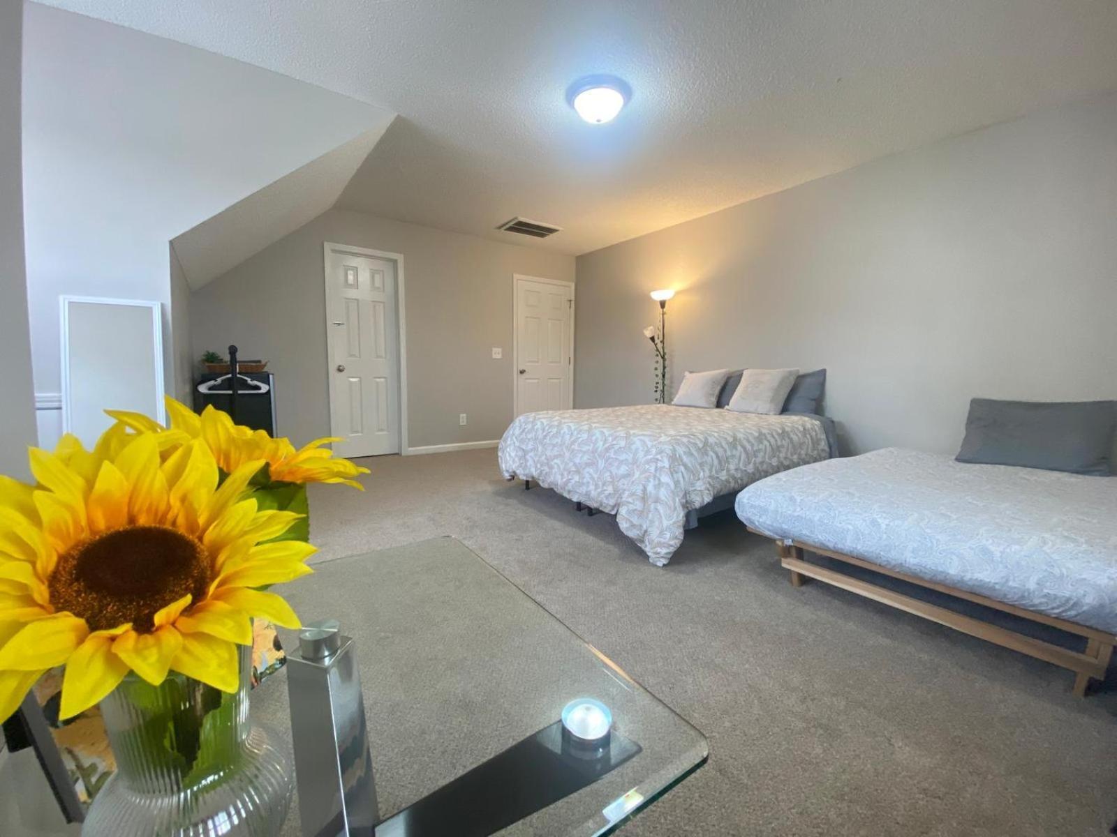 Private Room & Bathroom Close To Downtown 롤리 외부 사진